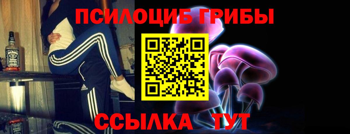 Галлюциногенные грибы Magic Shrooms Сибай